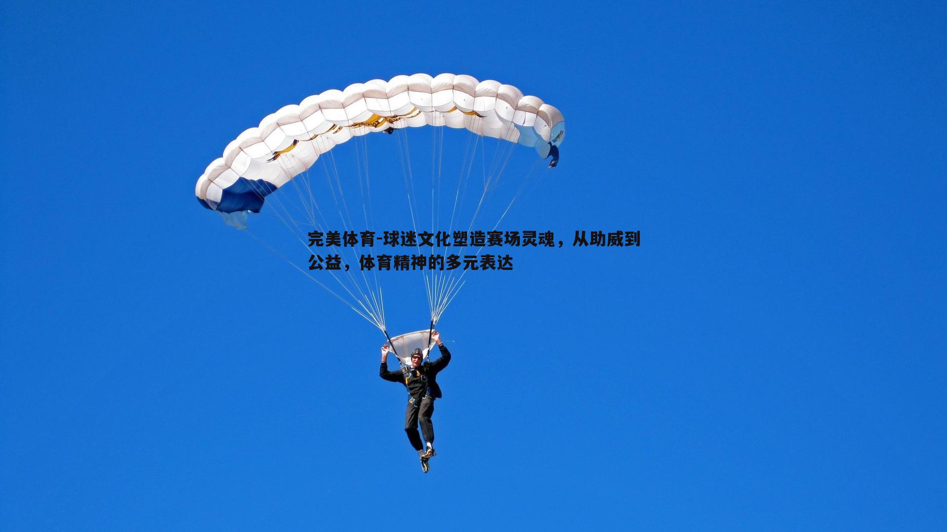 球迷文化塑造赛场灵魂,从助威到公益,体育精神的多元表达